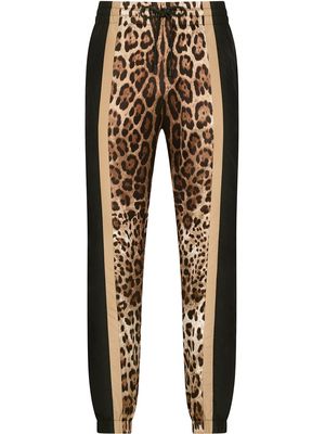 Dolce & Gabbana leopard-print sweatpants - Black