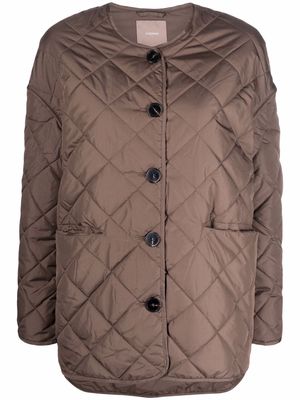 12 STOREEZ collarless quilted jacket - Brown