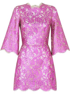 Dolce & Gabbana floral-lace sheer minidress - Pink