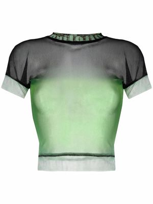 Ottolinger After Eight ombré mesh top - Green