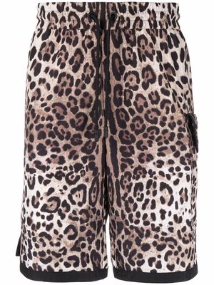 Dolce & Gabbana DG patch leopard print shorts - Neutrals