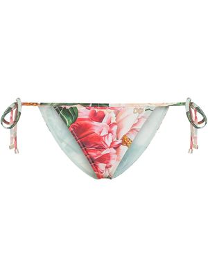 Dolce & Gabbana floral-print bikini bottoms - Pink
