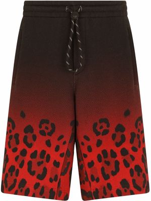 Dolce & Gabbana gradient leopard-print track shorts - Red