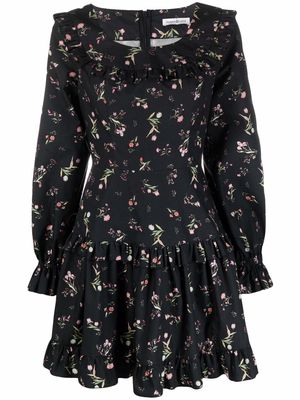 Roses & Lace floral-print ruffled mini dress - Black