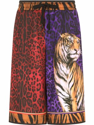Dolce & Gabbana drawstring tiger-print shorts - Brown