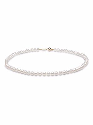 Yoko London 18kt yellow gold Classic 6mm Freshwater pearl necklace