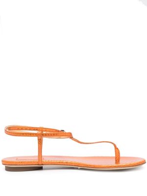 Giannico Kai python-detail sandals - Orange
