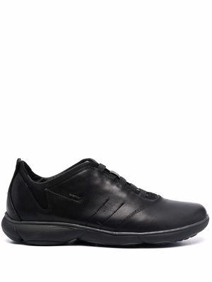 Geox Nebula low-top sneakers - Black
