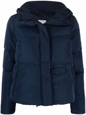 ASPESI padded hooded jacket - Blue