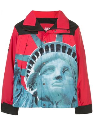 Supreme x The North Face Mountain Jacket - Red