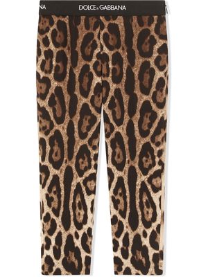 Dolce & Gabbana Kids leopard-print stretch-silk leggings - Brown