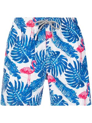 MC2 Saint Barth flamingo-print elasticated-waist swim shorts - Blue