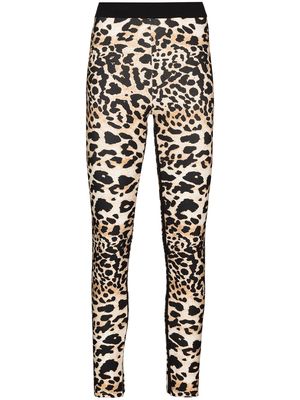 Paco Rabanne leopard print stretch-fit leggings - Neutrals