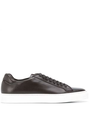 Scarosso low top Ugo sneakers - Brown