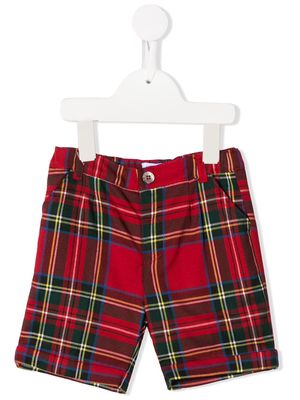 Siola tartan print shorts - Red