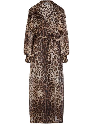 Dolce & Gabbana leopard print organza trench coat - Brown