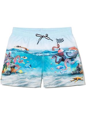 Molo graphic-print swim shorts - Blue