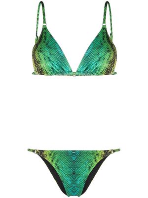 Noire Swimwear Snake Tanning bikini - Green
