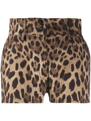 Dolce & Gabbana leopard print high-waisted shorts - Brown