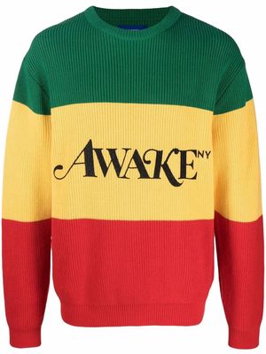 Awake NY logo-print long-sleeve jumper - Green
