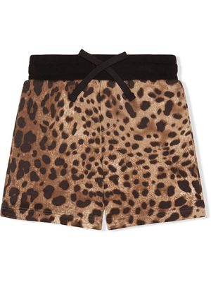 Dolce & Gabbana Kids leopard pattern shorts - Brown