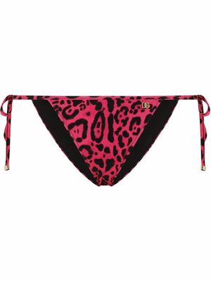 Dolce & Gabbana leopard-print bikini bottoms - Pink