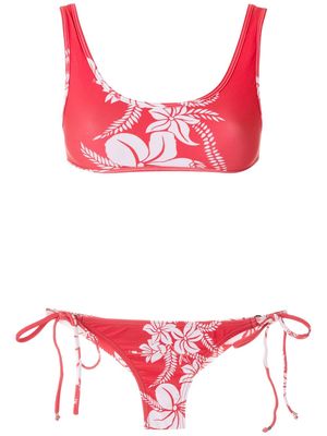 Amir Slama floral-print bikini set - Red