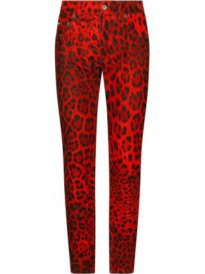 Dolce & Gabbana leopard-print skinny jeans - Red
