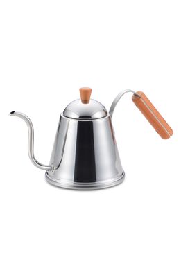 GINGKO Caf Time Drip Kettle in Silver