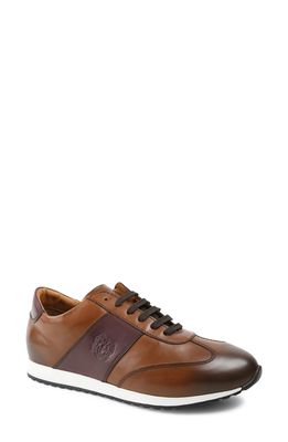 Bruno Magli Elliot Oxford Sneaker in Cognac Calf