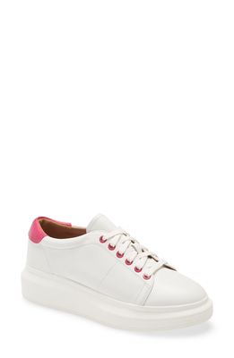 Linea Paolo Kelsey Platform Sneaker in White/Pink Leather