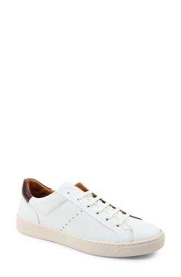 Bruno Magli Dante Oxford Sneaker in White Calf