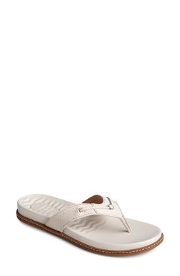 Sperry Waveside Flip Flop in Ivory