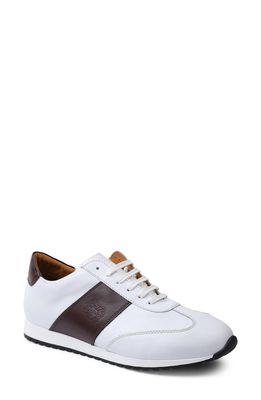 Bruno Magli Elliot Oxford Sneaker in White Calf
