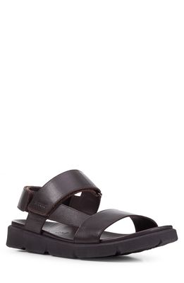 Geox Xand 2s Sandal in Brown Cotto