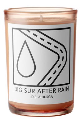D.S. & Durga Big Sur After Rain Scented Candle in White