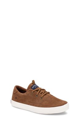 Sperry Spinnaker Jr. Washable Sneaker in Tan