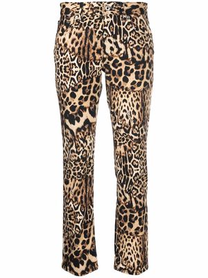 Just Cavalli leopard-print trousers - Brown