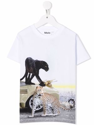 Molo tiger-motif organic-cotton T-shirt - White