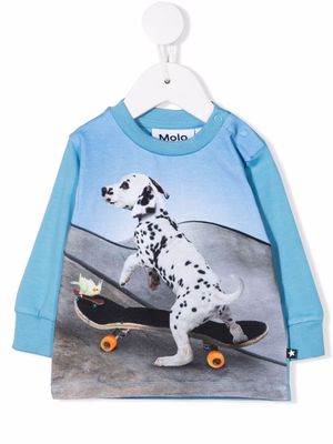 Molo skating-puppy graphic-print sweatshirt - Blue