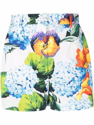 Dolce & Gabbana tailored floral-print short shorts - White