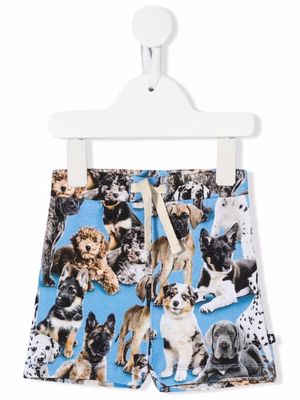 Molo all-over dog-print shorts - Blue