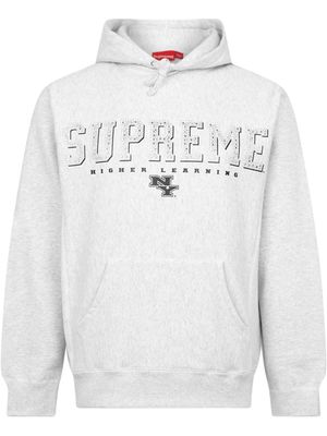 Supreme Gems hoodie "SS 20" - Grey