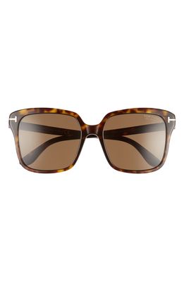 Tom Ford Faye 56mm Polarized Square Sunglasses in Dark Havana/Brown