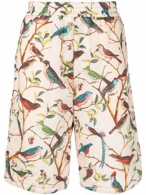 Kenzo bird-print bermuda shorts - Neutrals