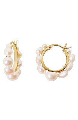 The M Jewelers The Small Clea Freshwater Pearl Hoop Earrings in Gold
