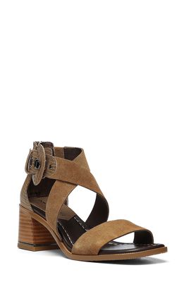 Donald Pliner Helen Strappy Sandal in Biscotti