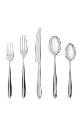 Fortessa Scoop 5-Piece Place Setting in Silver