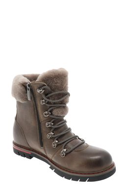 Royal Canadian Stratford Genuine Shearling Cuff Waterproof Boot in Fossil Leather