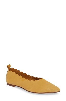 Klub Nico Naomi Scallop Pointy Toe Flat in Yellow Suede